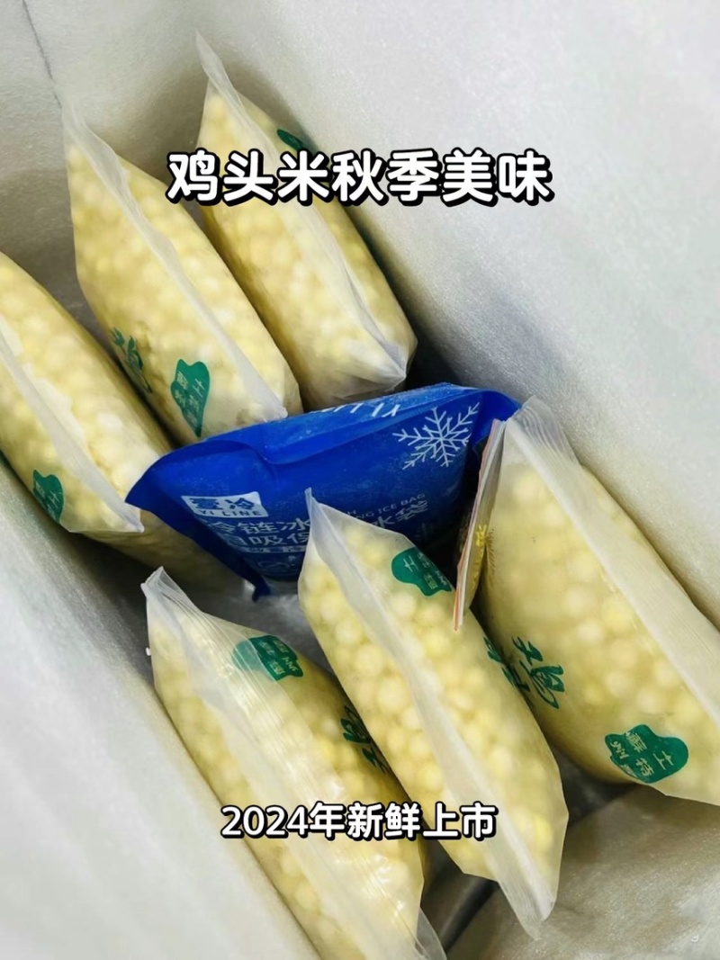 苏州手剥鸡头米要上市啦