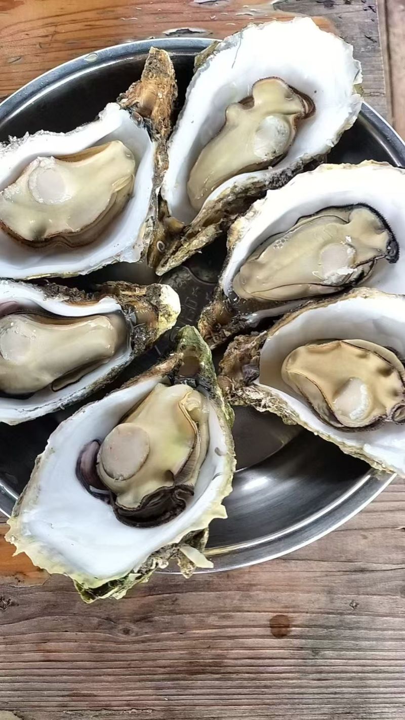 现货全规格1.5到5，可接半壳，接专车，精品餐厅烧烤批发