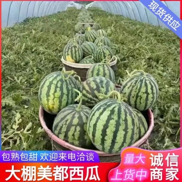 宁夏西瓜《麒麟西瓜》大棚西瓜/无籽西瓜/浙江台州人种植