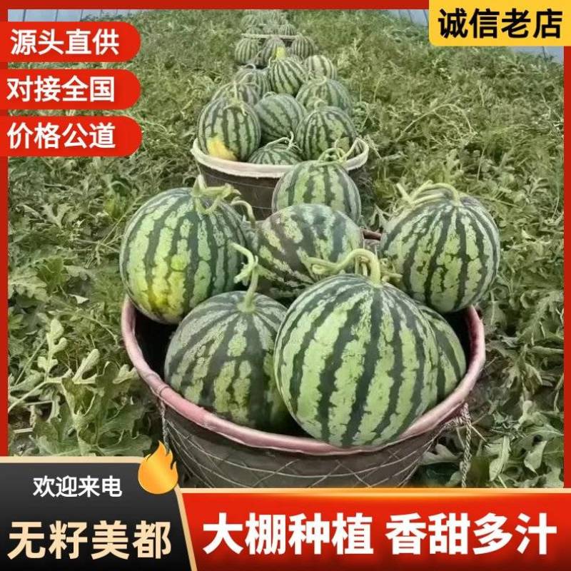『无籽西瓜』宁夏西瓜/大棚西瓜/6斤打底八成熟/全国发货