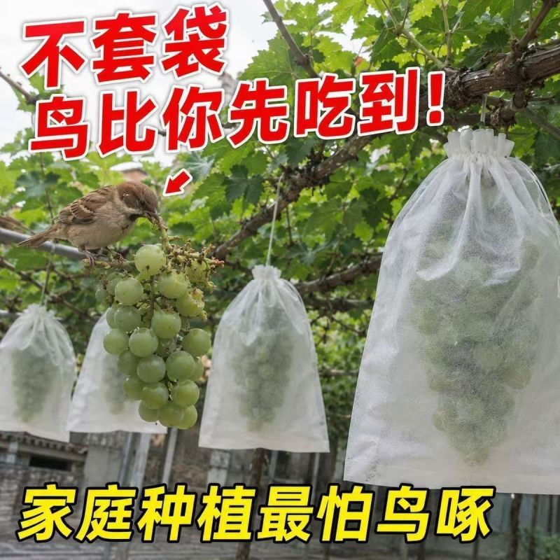 【自带抽绳】葡萄水果套袋防虫防鸟防雨水果无花果透气瓜果防