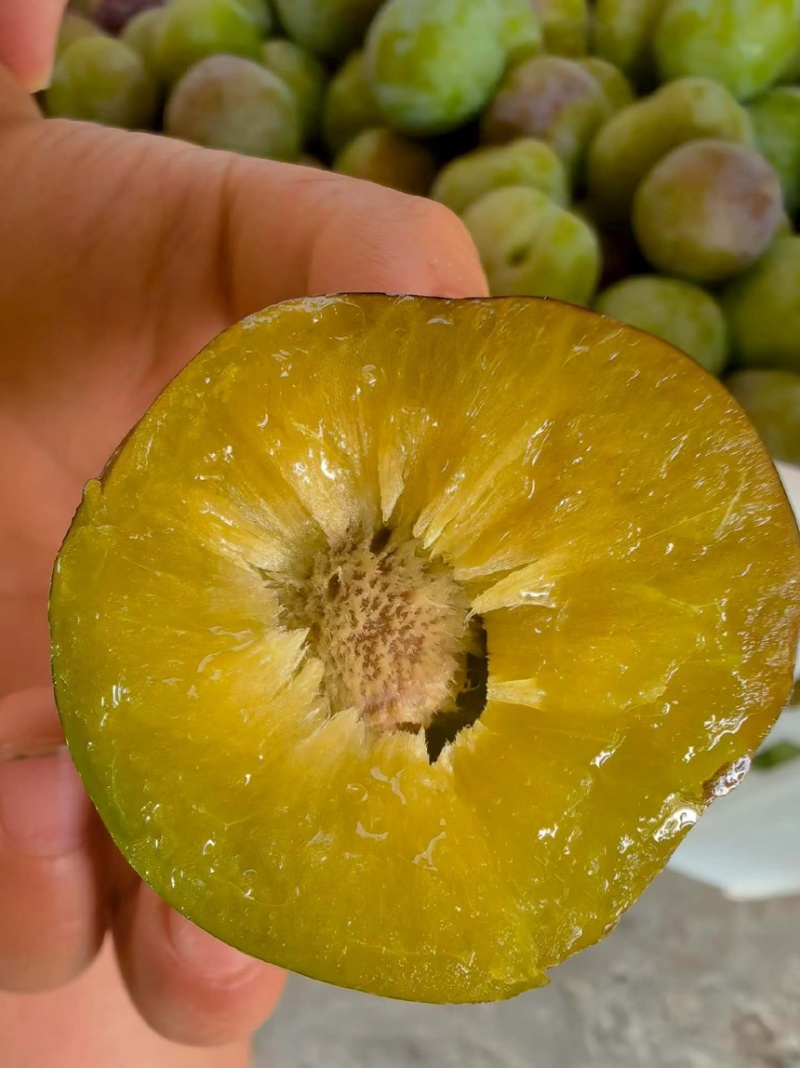半边红李子，脆甜多汁