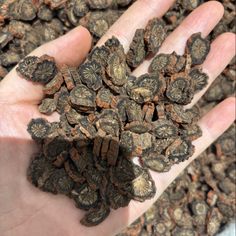 大片紫丹参，红丹参产地直发对接各类客户欢迎咨询