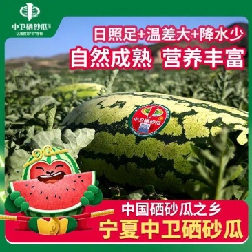 宁夏硒砂瓜产地一手货源糖度高耐运输石头缝里的硒砂