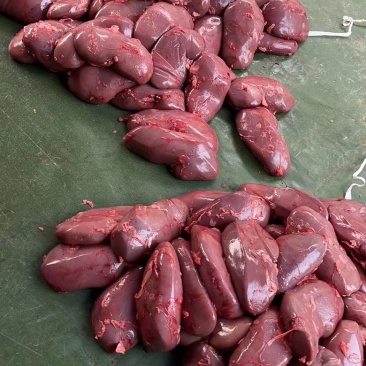 鲜肥肠.鲜猪腰.鲜猪副产品