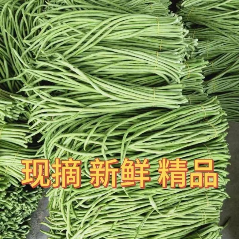青条豆角大量上市对接超市电商批发市场，全国发货