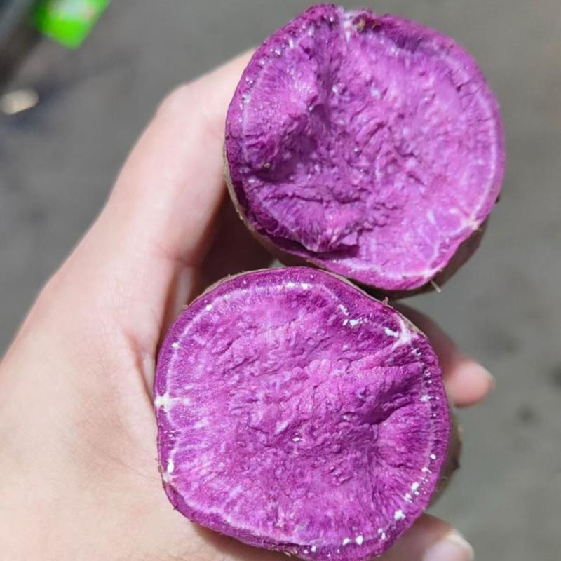 湖北紫罗兰紫薯，新鲜上市，价格美丽，欢迎对接合作