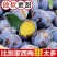 西梅批发全国发货，高品质包售后