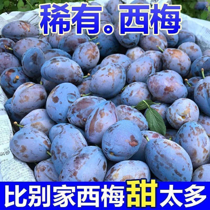 西梅批发全国发货，高品质包售后