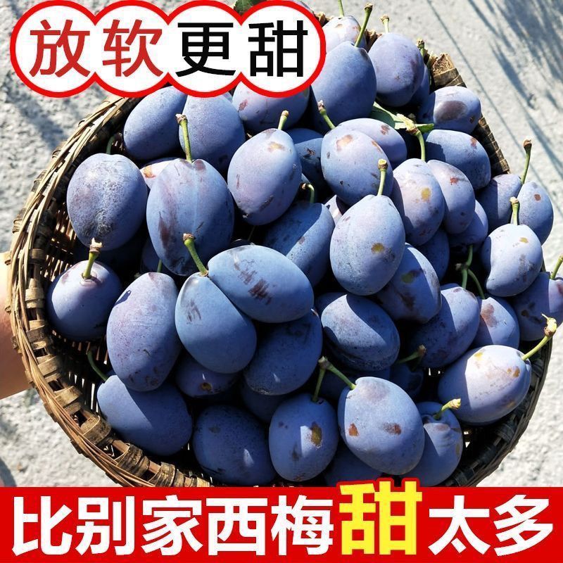 西梅批发全国发货，高品质包售后