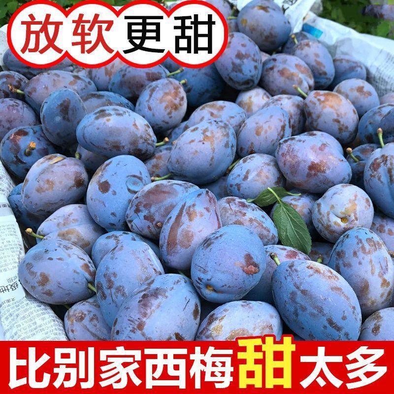 西梅批发全国发货，高品质包售后