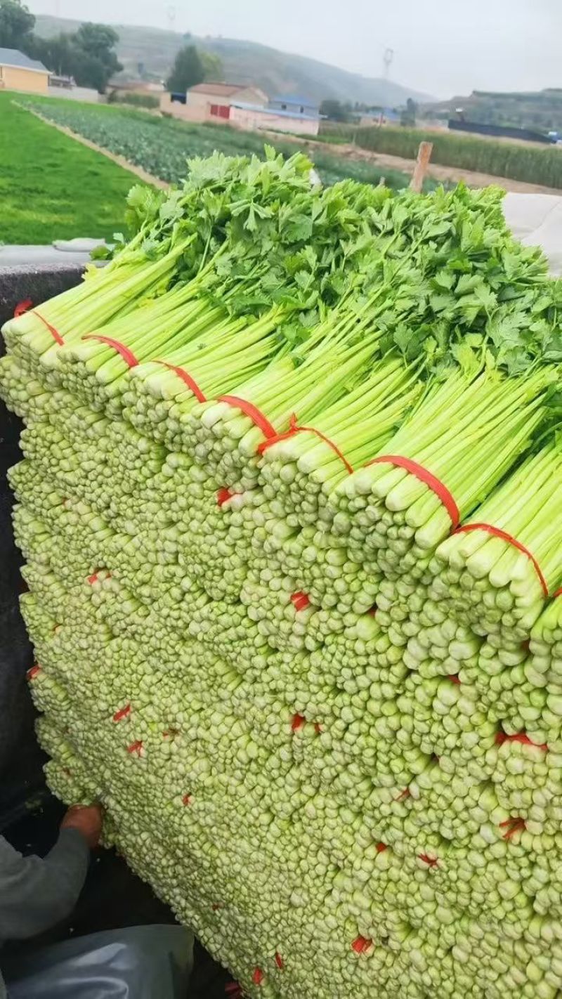 高原夏菜
