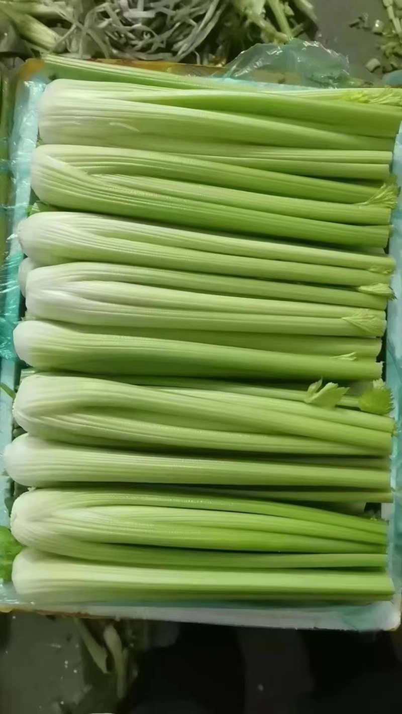 高原夏菜