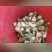 吉林大蒜青蒜头现挖新鲜青蒜头产地直发嫩清蒜头