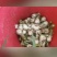 吉林大蒜青蒜头现挖新鲜青蒜头产地直发嫩清蒜头