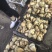 云南野生菌，产地源头收购，需要的老板可以联系