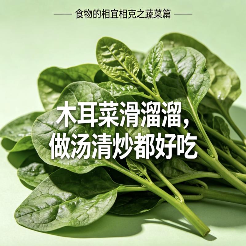 【热卖推荐】木耳菜落葵现采现发叶片肥厚一站式流程对接