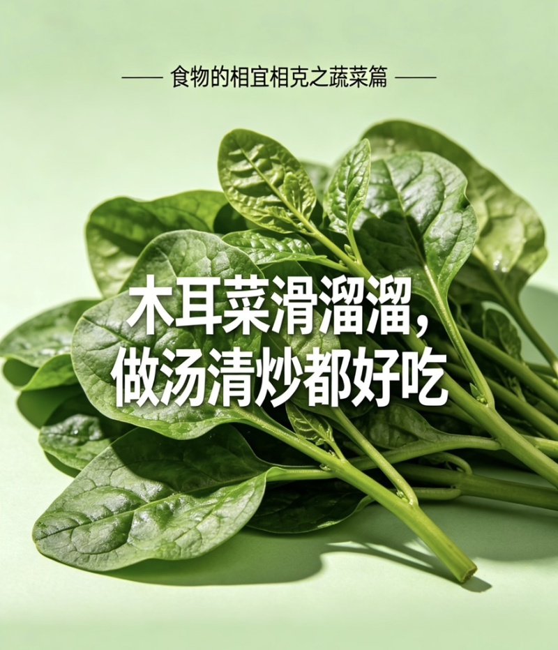 【热卖推荐】木耳菜落葵现采现发叶片肥厚一站式流程对接
