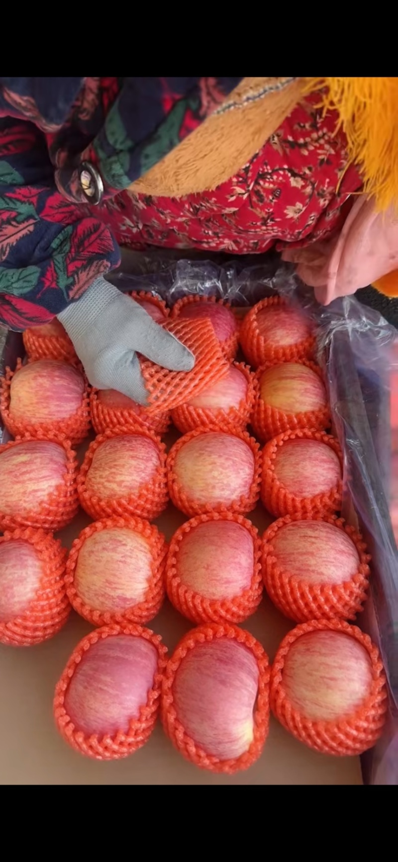【精品】苹果红富士苹果保质保量对接商超电商出口市场