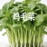 【实力推荐】鸡毛菜脆嫩清甜诚信经营，品质优先、叶绿鲜亮