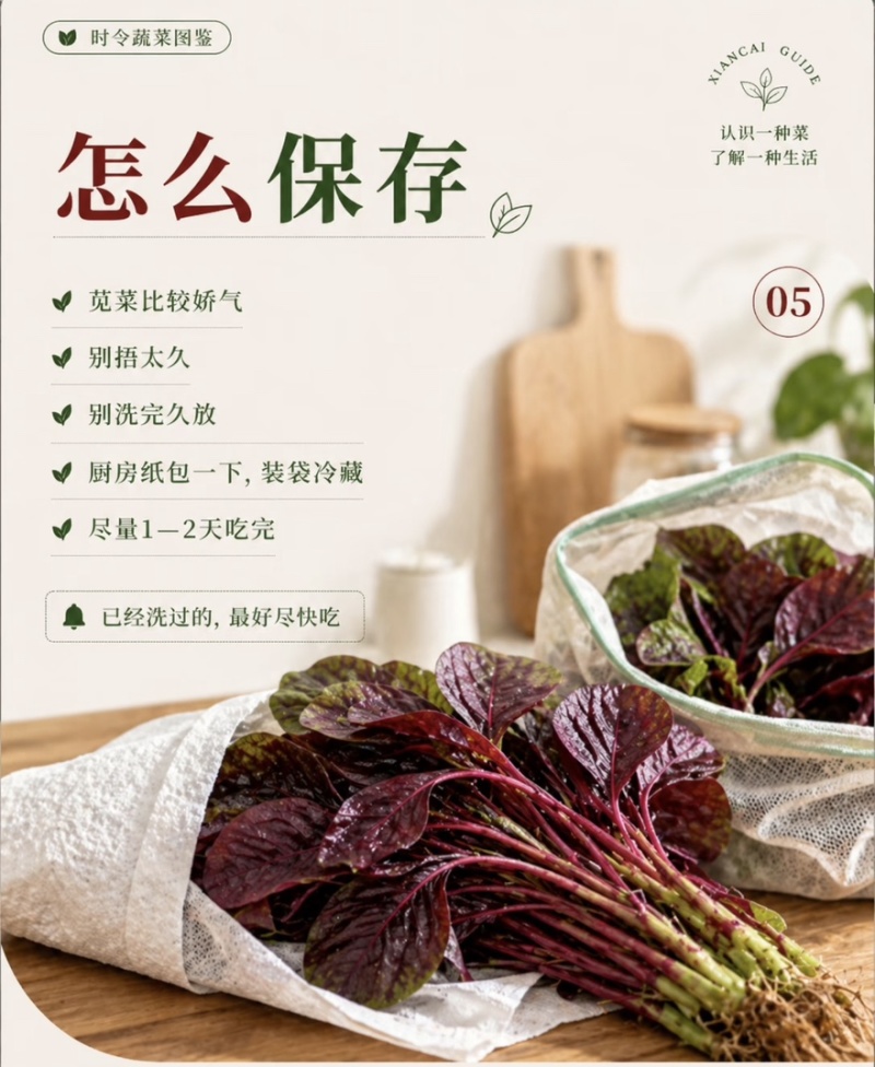【实力推荐】苋菜红苋菜米线头几十万斤品质保障先到先得对