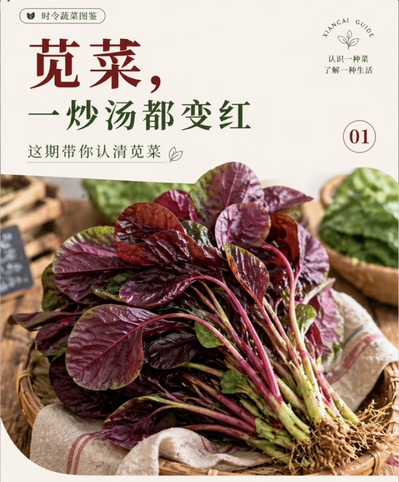 【实力推荐】苋菜红苋菜米线头几十万斤品质保障先到先得对