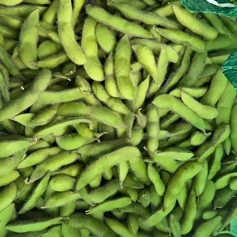 新鲜毛豆大量上市中