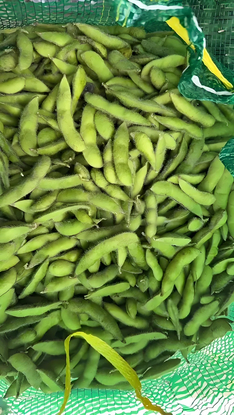新鲜毛豆大量上市中