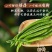 辣椒二荆条辣椒条型好品质佳现摘现发产地直供欢迎咨询