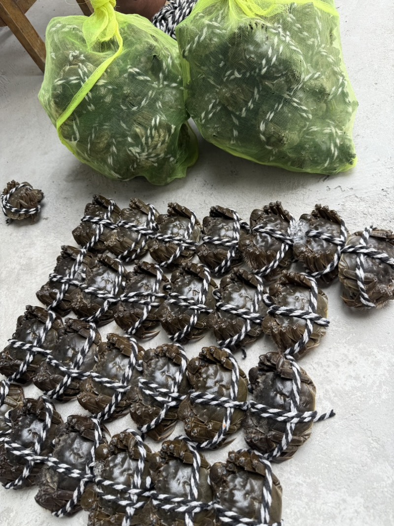 当涂六月黄大闸蟹