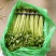宁夏银川小香芹，大量上市，产地直发，品质有保障