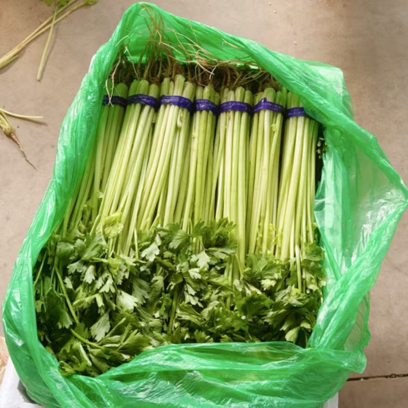 宁夏银川小香芹，大量上市，产地直发，品质有保障
