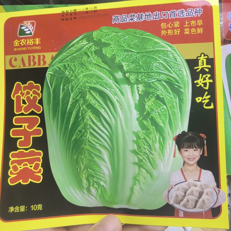 杂交新品饺子菜种子大棵白菜出口品质高产耐运输基地专用