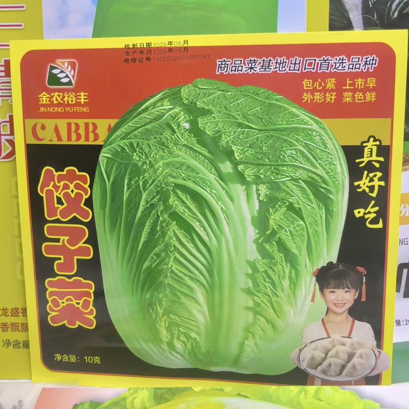 杂交新品饺子菜种子大棵白菜出口品质高产耐运输基地专用