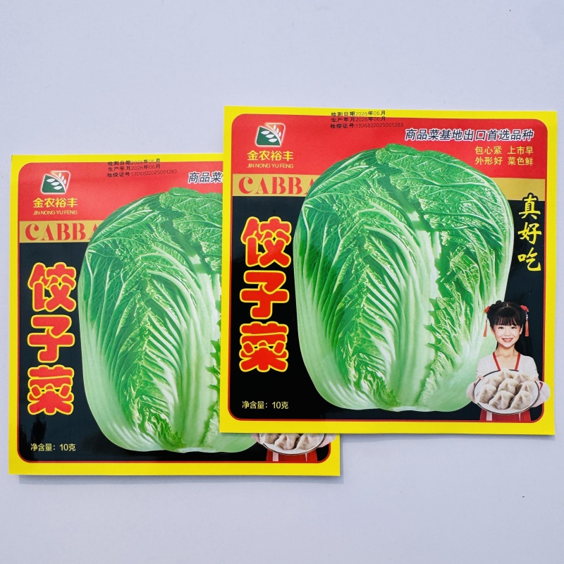 杂交新品饺子菜种子大棵白菜出口品质高产耐运输基地专用