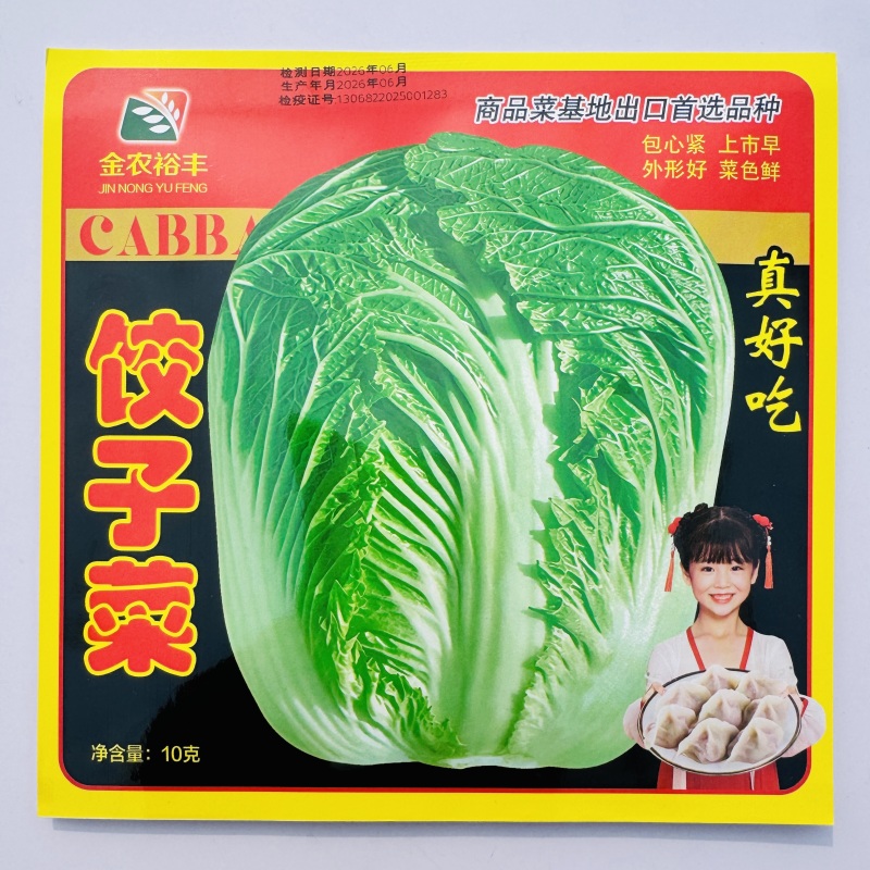 杂交新品饺子菜种子大棵白菜出口品质高产耐运输基地专用