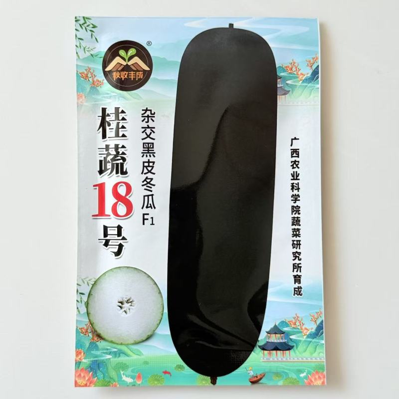 桂蔬18号黑皮大冬瓜种子杂交黑皮肉厚腔小果型顺直高产大果