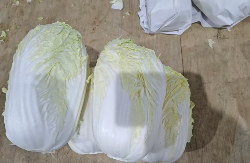 云南正宗高山黄心娃娃菜，品种优质，味道甜美