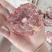 满肉羊脖骨