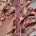 满肉牛肋排