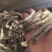 精品鹿茸菇大量供应，保质保量，诚信经营，可视频看货，量大从优