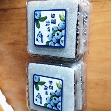 全国应季生鲜水果一件代发产地直供榴莲，车厘子🍒，蓝莓