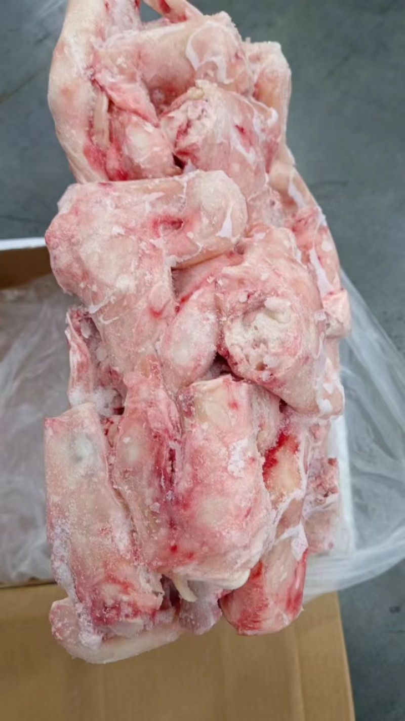 羊拐筋