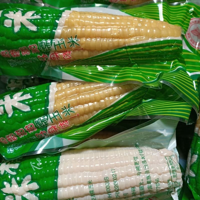 真空糯玉米大量有货基地直供品质优新鲜现摘可视频看货欢迎咨