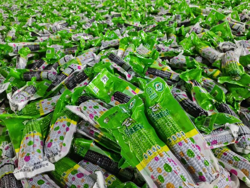 真空糯玉米大量有货基地直供品质优新鲜现摘可视频看货欢迎咨