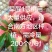 早醒1号桃苗特早质优