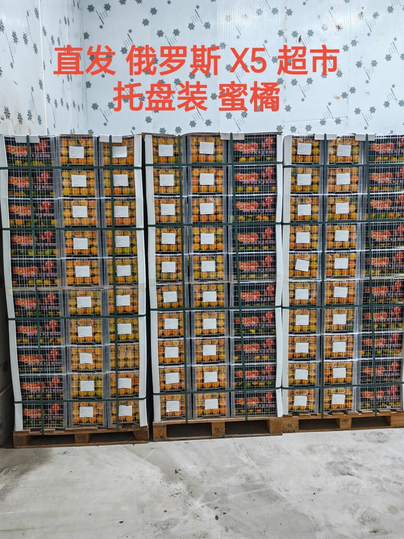 【蜜橘】大量上市对接市场渠道商超出口俄罗斯和中亚