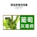亿嘉挥灰60%嘧菌环胺·异菌脲可湿性粉剂葡萄灰霉病