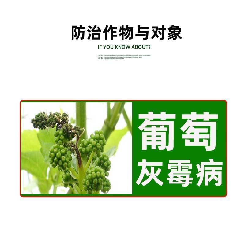 亿嘉挥灰60%嘧菌环胺·异菌脲可湿性粉剂葡萄灰霉病