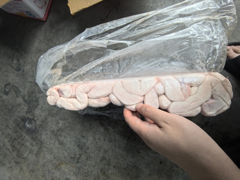 肥猪带把大花肠